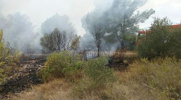 La Principal Hip Tesi Dels Agents Rurals Sobre L Origen De L Incendi A