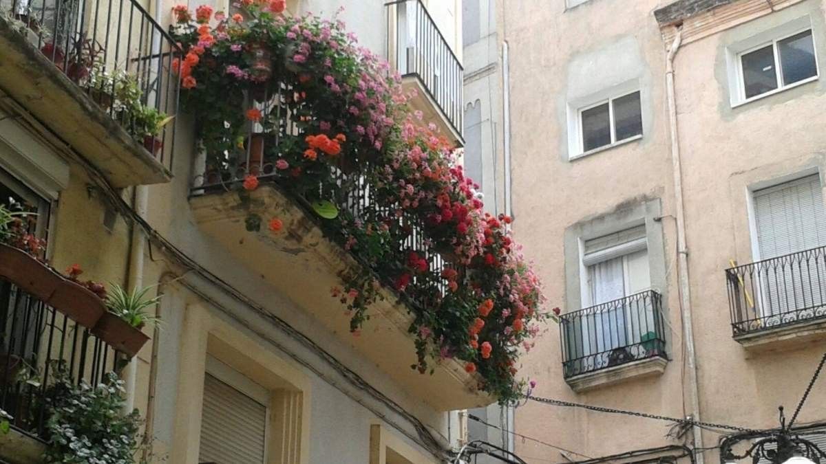 Imatge d'un balcó florit a Valls