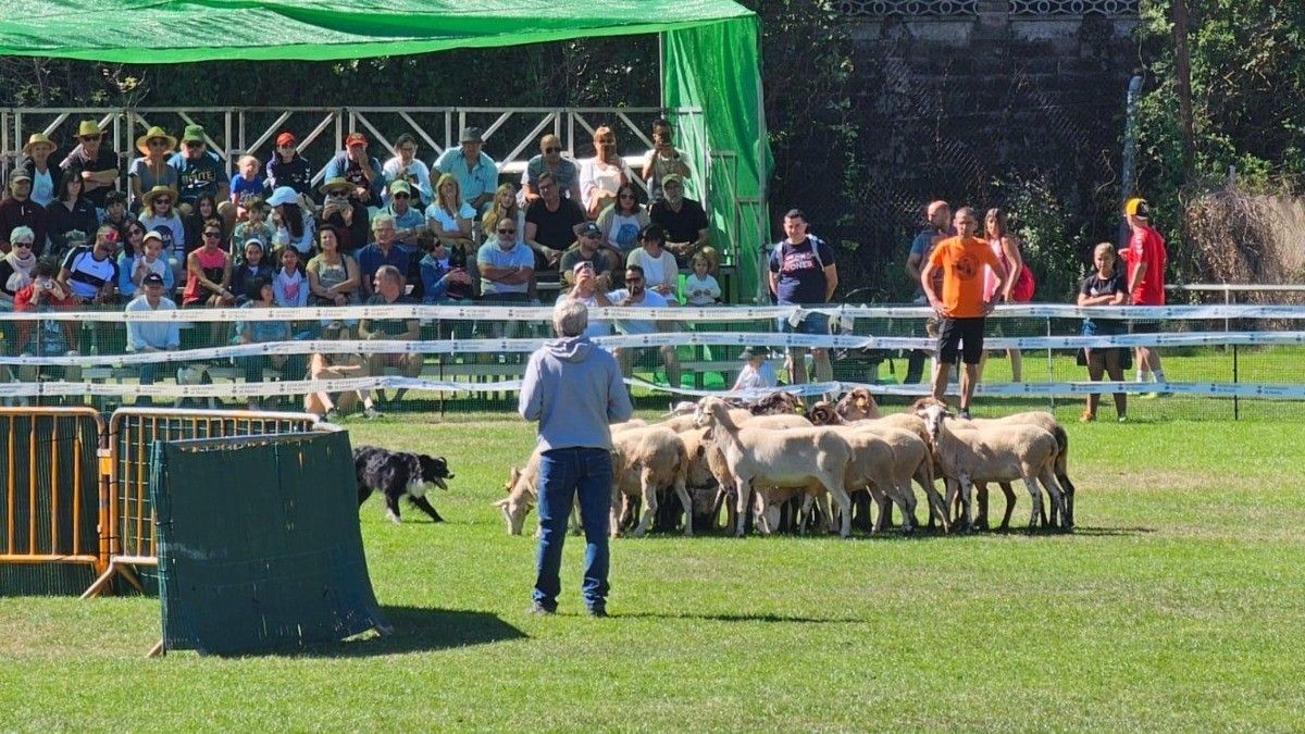 Prop de 1.400 espectadors s'han donat citat al camp de futbol municipal de Prades per gaudir del Concurs.