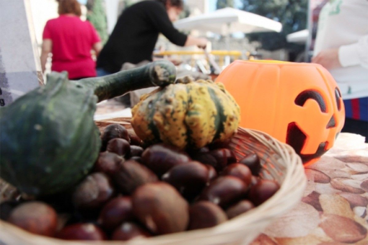 El jovent de Reus podrà gaudir i protagonitzar enguany tant la Castanyada com Halloween