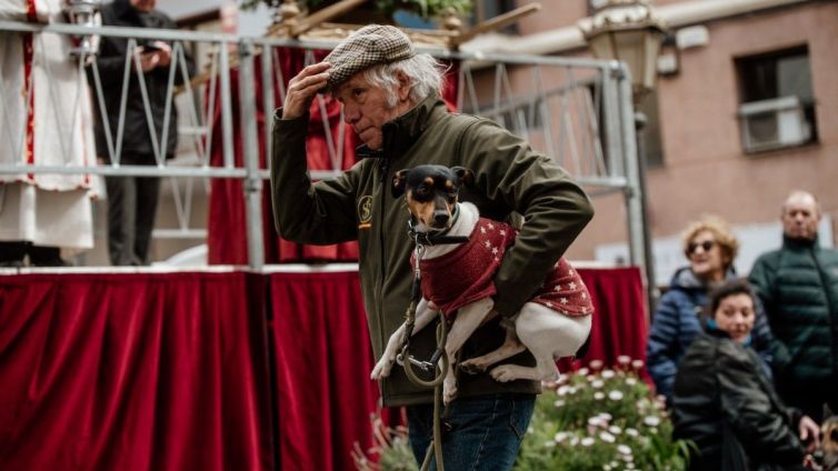 Les millors imatges dels Tres Tombs 2024 a Reus