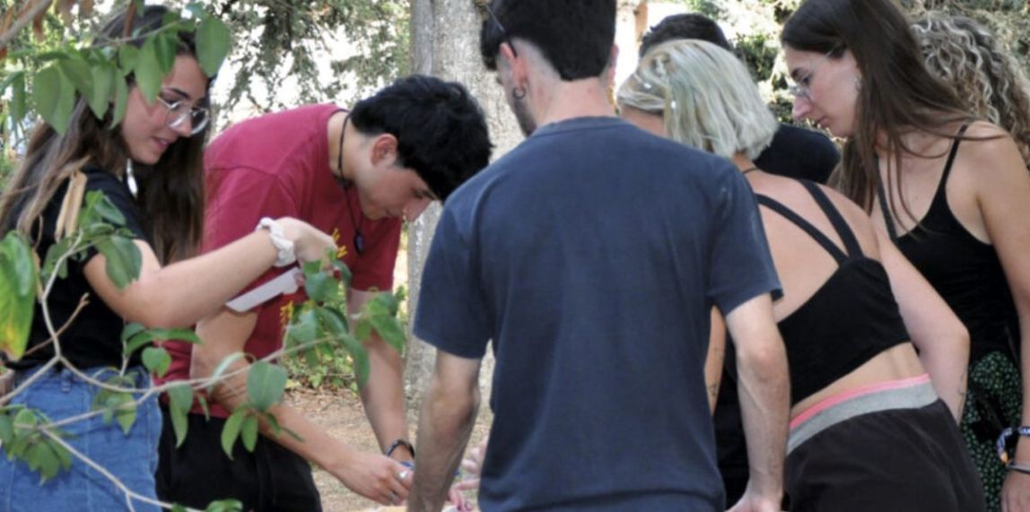 grup joves projectes collectius ocell de foc del camp nacio