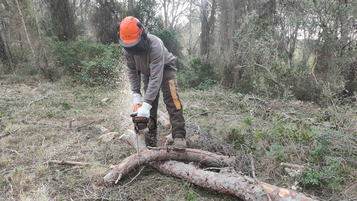 Els treballs tenen l'objectiu de prevenir al màxim els incendis forestals.