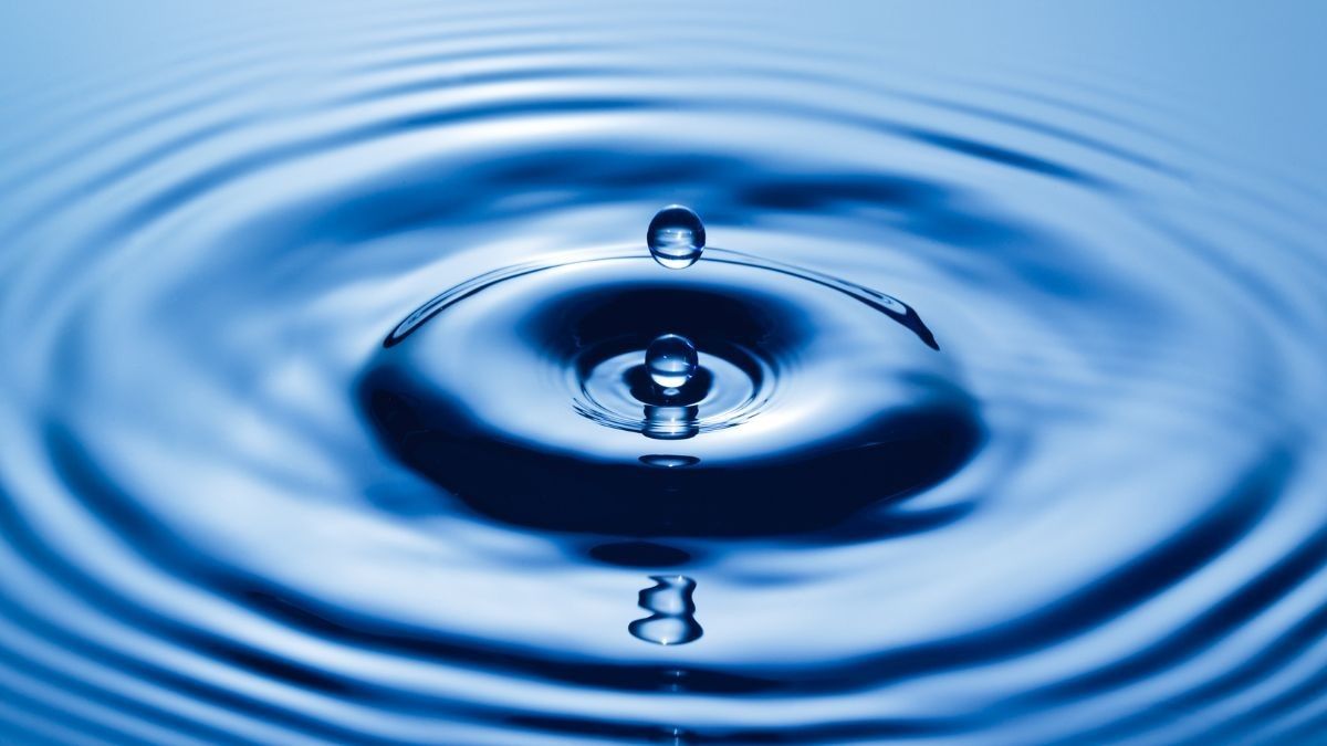 El 22 de març es commemora el Dia Mundial de l'Aigua.