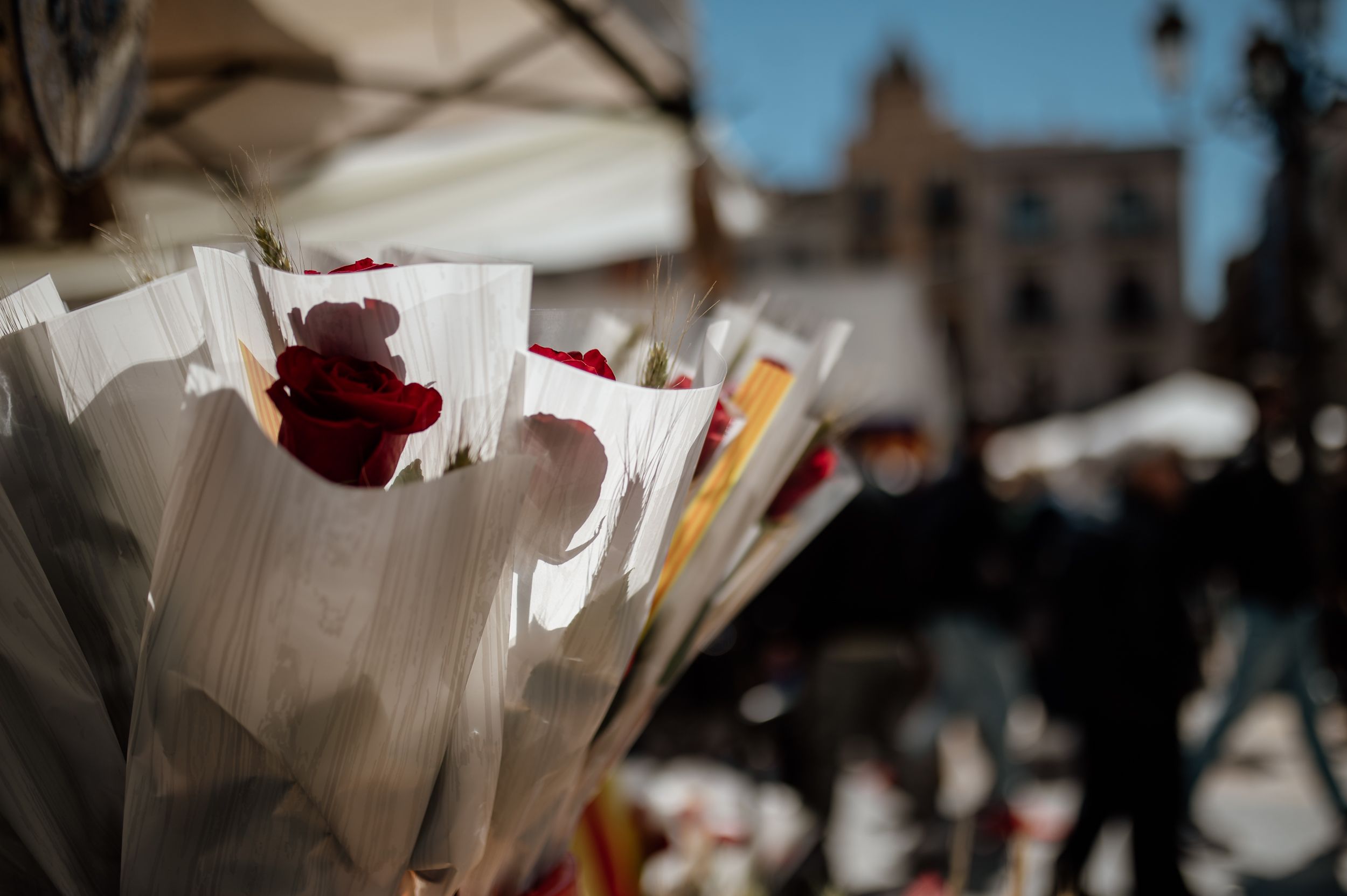 Diada de Sant Jordi 2024 a Reus.