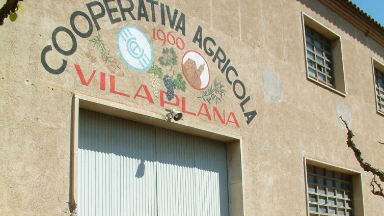 cooperativa agricola vilaplana federacio cooperatives nacio