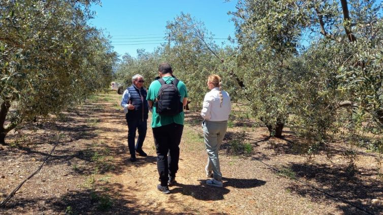 viajeros cuatro cambrils costa daurada estiu 2024 nacio