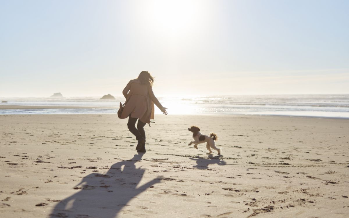 Els gossos podran accedir a la platja de Salou durant tot l'any.