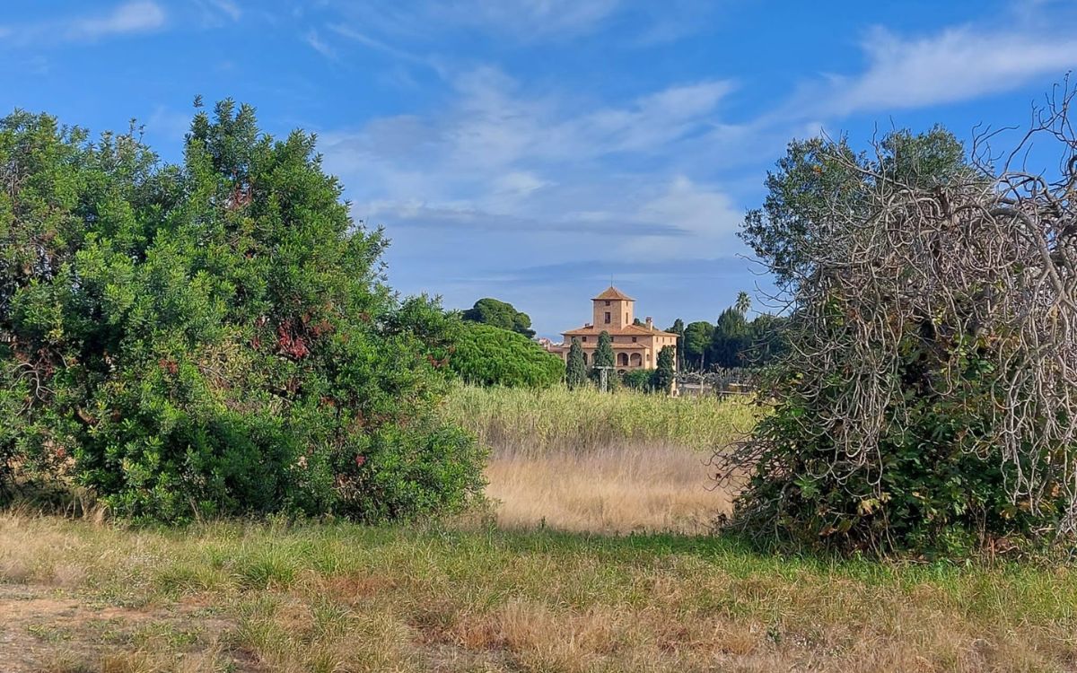 Emplaçament de la futura bassa naturalitzada prevista al projecte RENATUReus