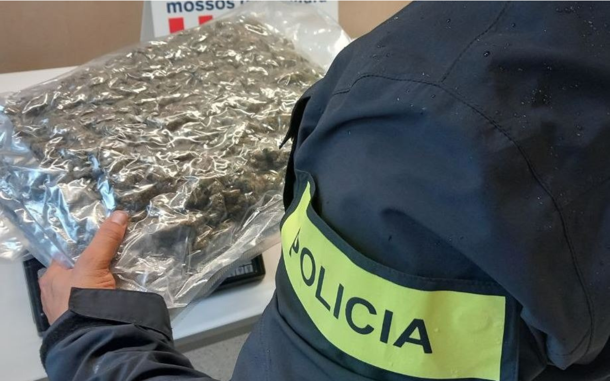 Els agents del Mossos han intervingut més de 50 quilos de cabdells de marihuana en un pis de Salou.