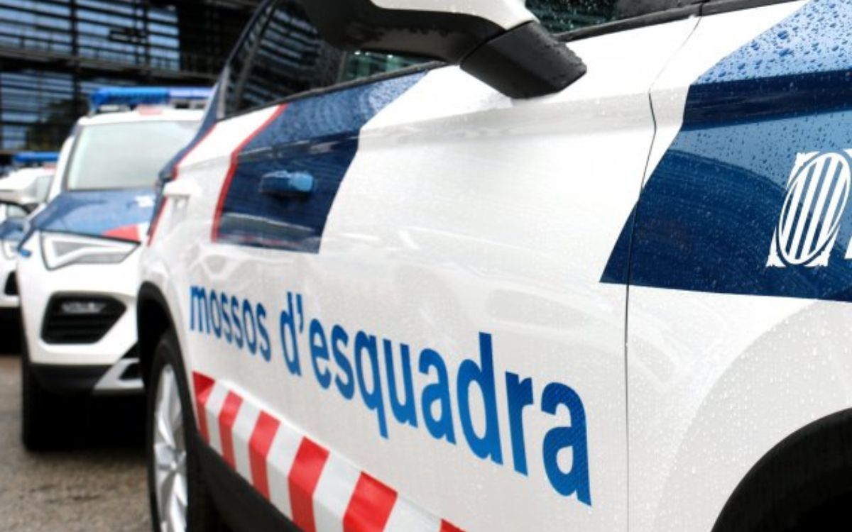 Els Mossos d'Esquadra han detingut el responsable dels fets al terme municipal de Tarragona.
