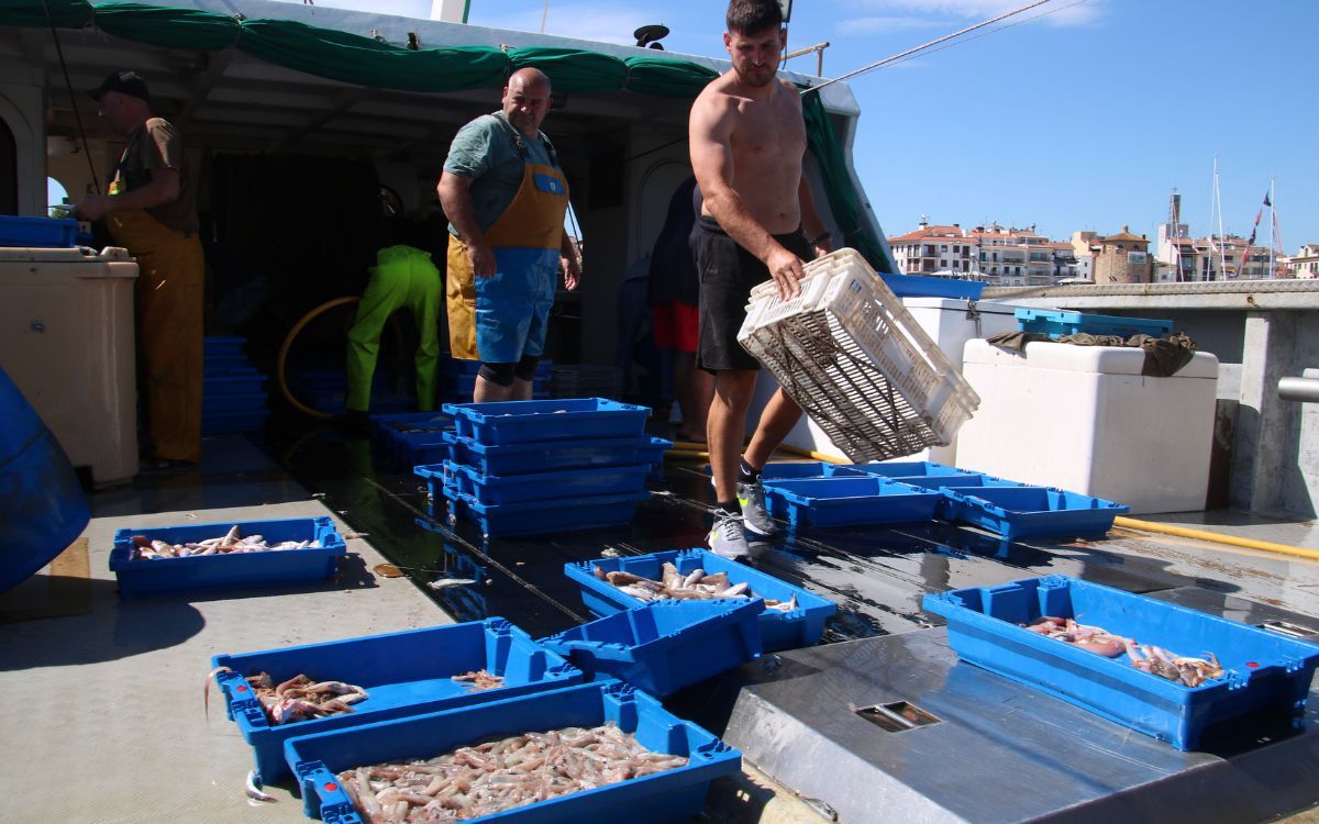 Els pescadors de Cambrils estan satisfets amb les captures de peix de la primera jornada.