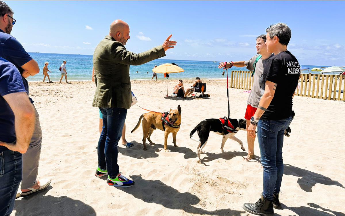 La platja per a gossos de Torredembarra s'ha estrenat aquest dimarts 9 de juliol.
