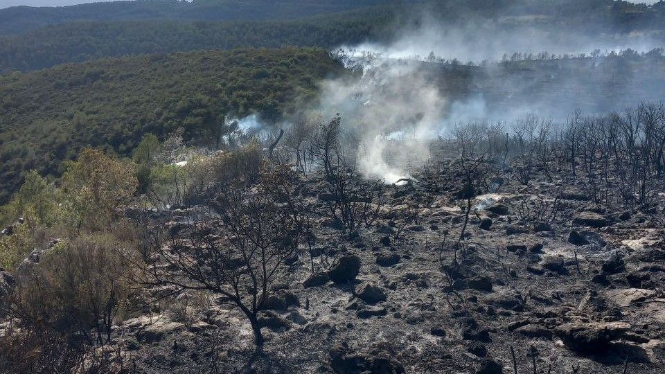 El foc ha afectat unes 17 hectàrees, segons càlculs dels Agents Rurals