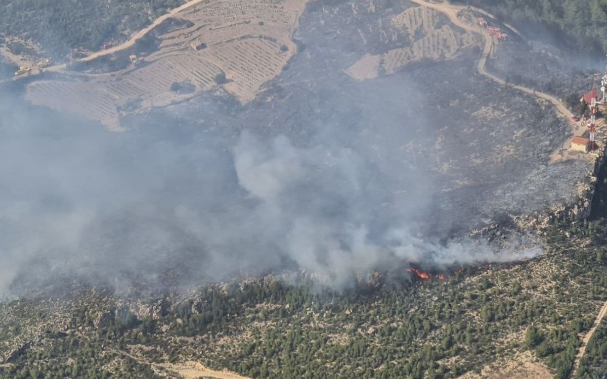 L'incendi a la Figuera, al Priorat, va cremar gairebé una vintena d'hectàrees.