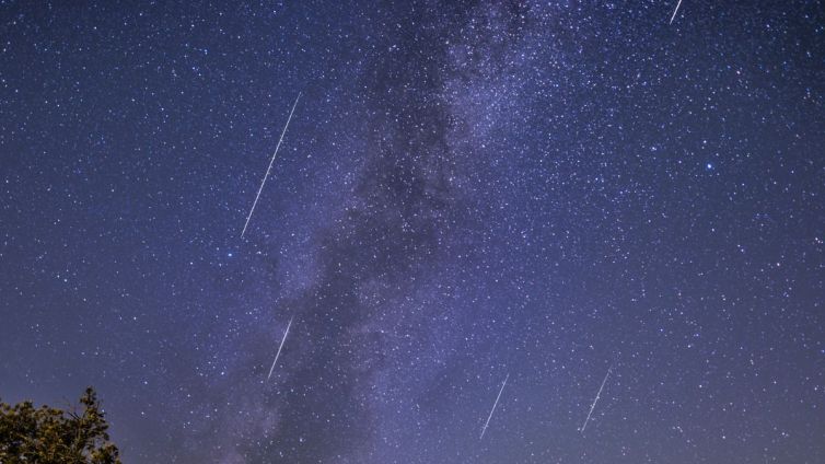 perseids pluja estels llagrimes sant llorenc parc astronomic muntanyes prades nacio