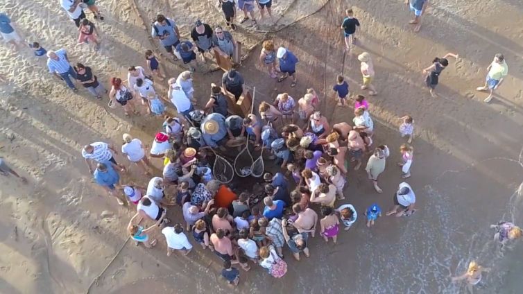 festa ormeig cambrils sinestesic nacio