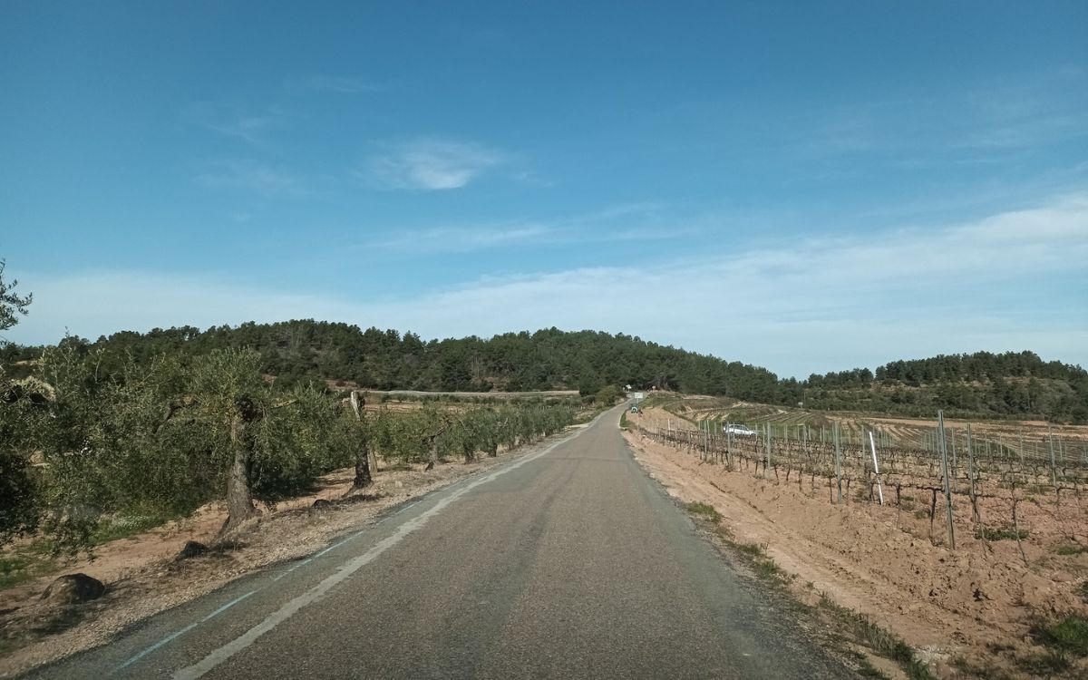 Tram del camí municipal que va de Capçanes als Guiamets, on s'actuarà amb aquest projecte