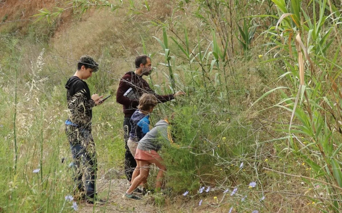 Una vintena de persones han participat al primer bioblitz a Reus.