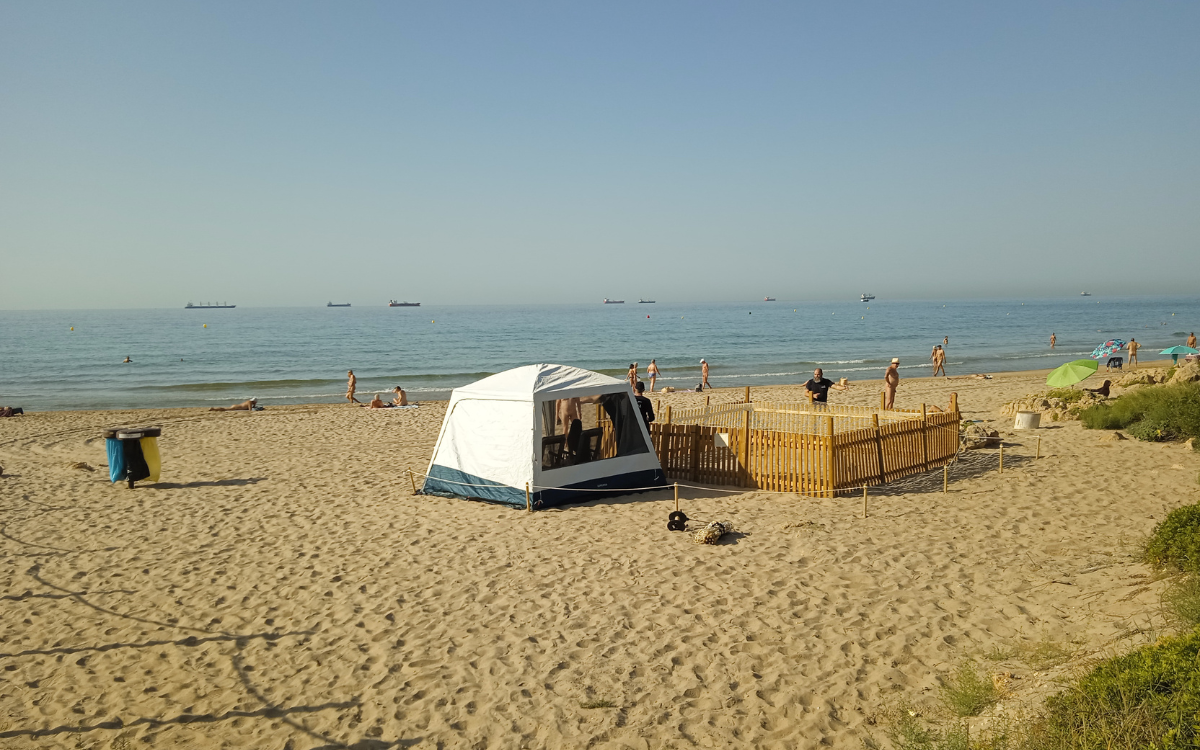 Una carpa custodia el niu de tortuga de la platja de la Savinosa de Tarragona.