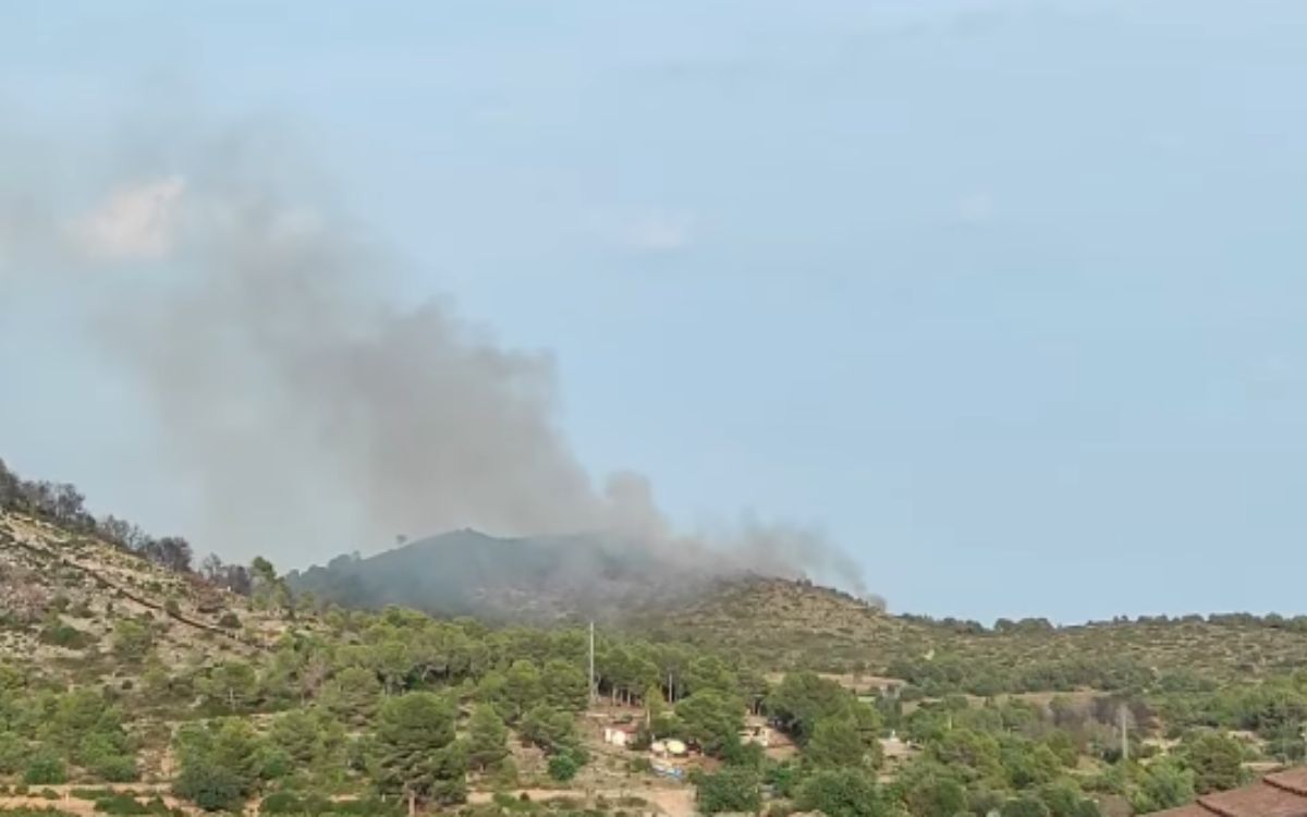 Imatge de l'incendi forestal a la zona de Mas Mel a Calafell.