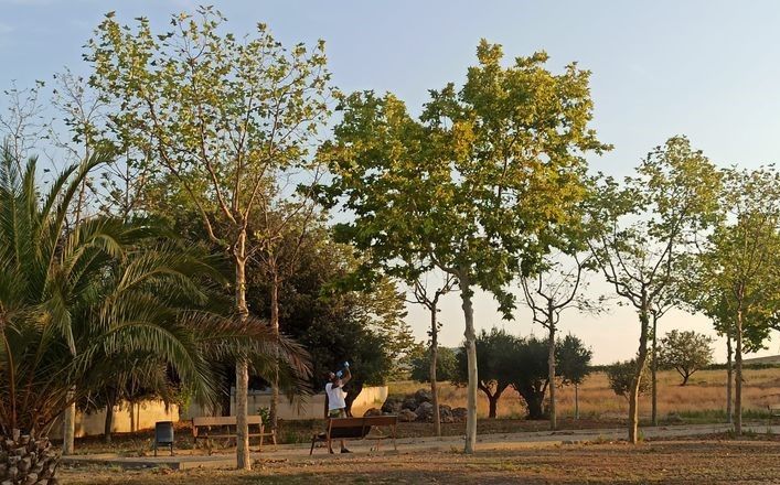 Intervenció al vesper del parc