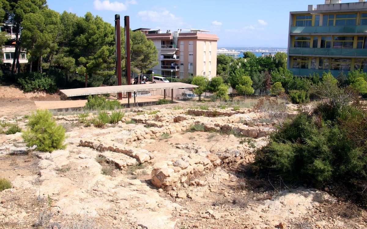 Una de les àrees del poblat en què s'estan fent les excavacions