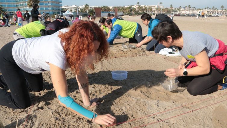 recollida pellets voluntaris platja la pineda acn nacio