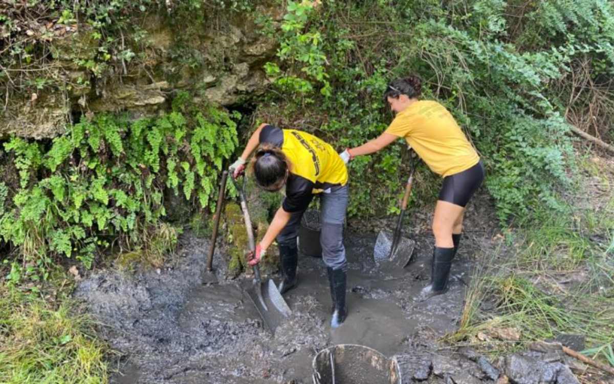 Imatge del projecte Basses Amigues, de la Cooperativa Reboll