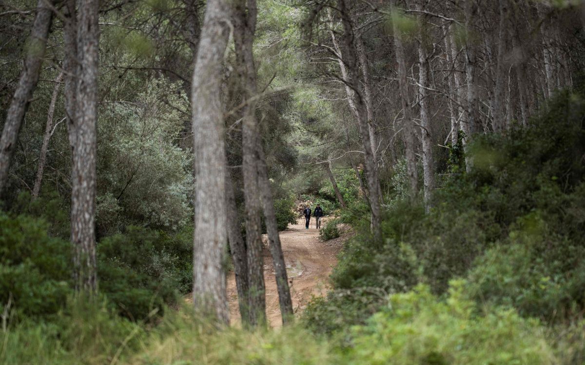 L'Anella Verda de Tarragona, en una imatge d'arxiu.