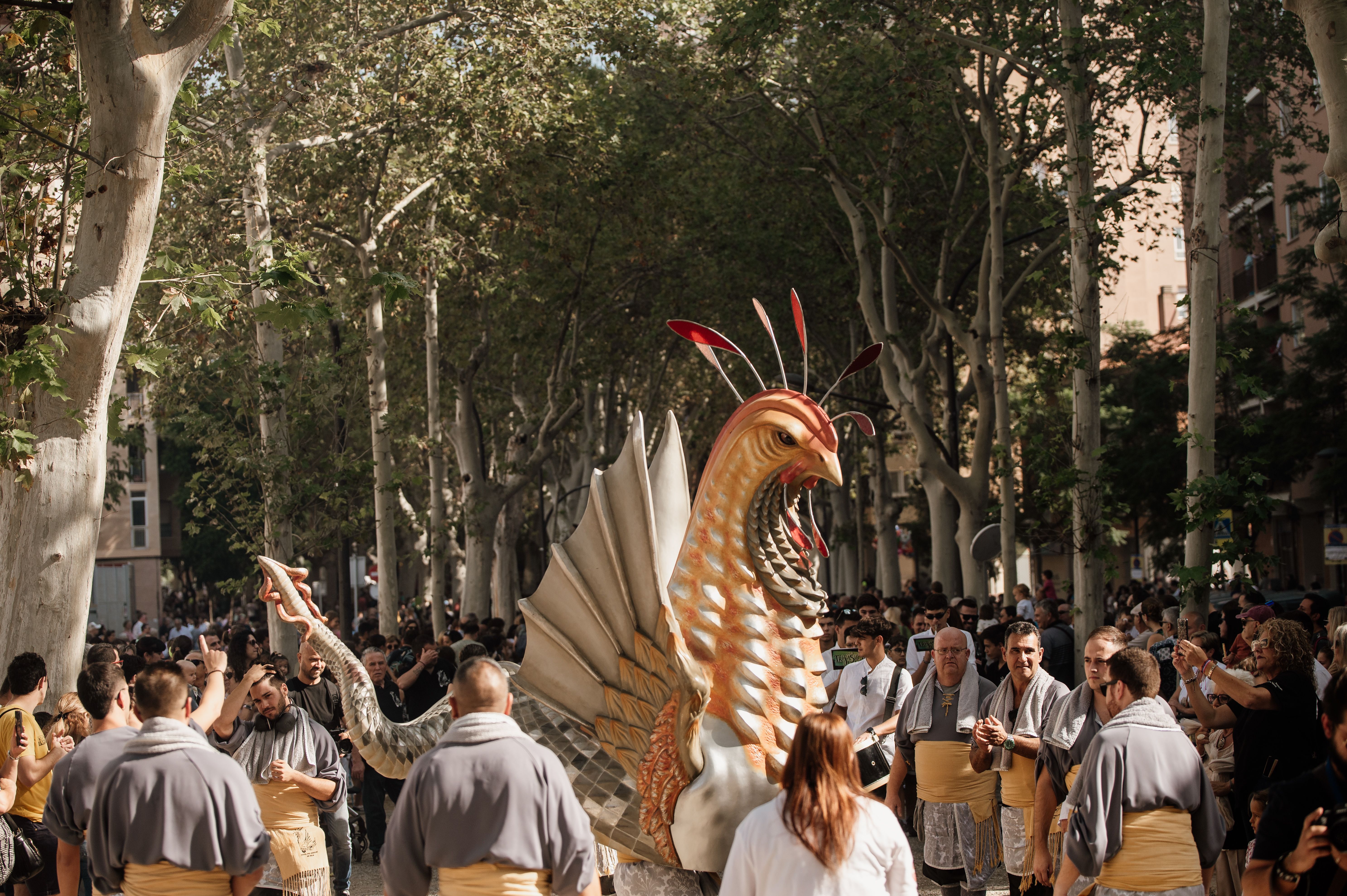 La Diada de Misericòrdia 2024 a Reus en imatges