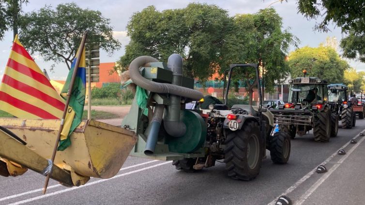 tractorada concentracio revolta pagesa reus sandra perez nacio