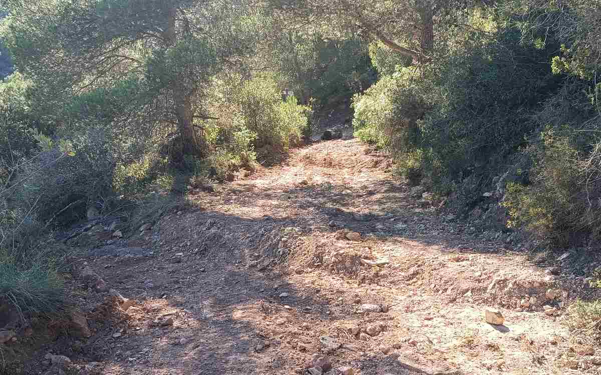 Imatge d'un dels camins de la Ruta del Cister a Figuerola del Camp