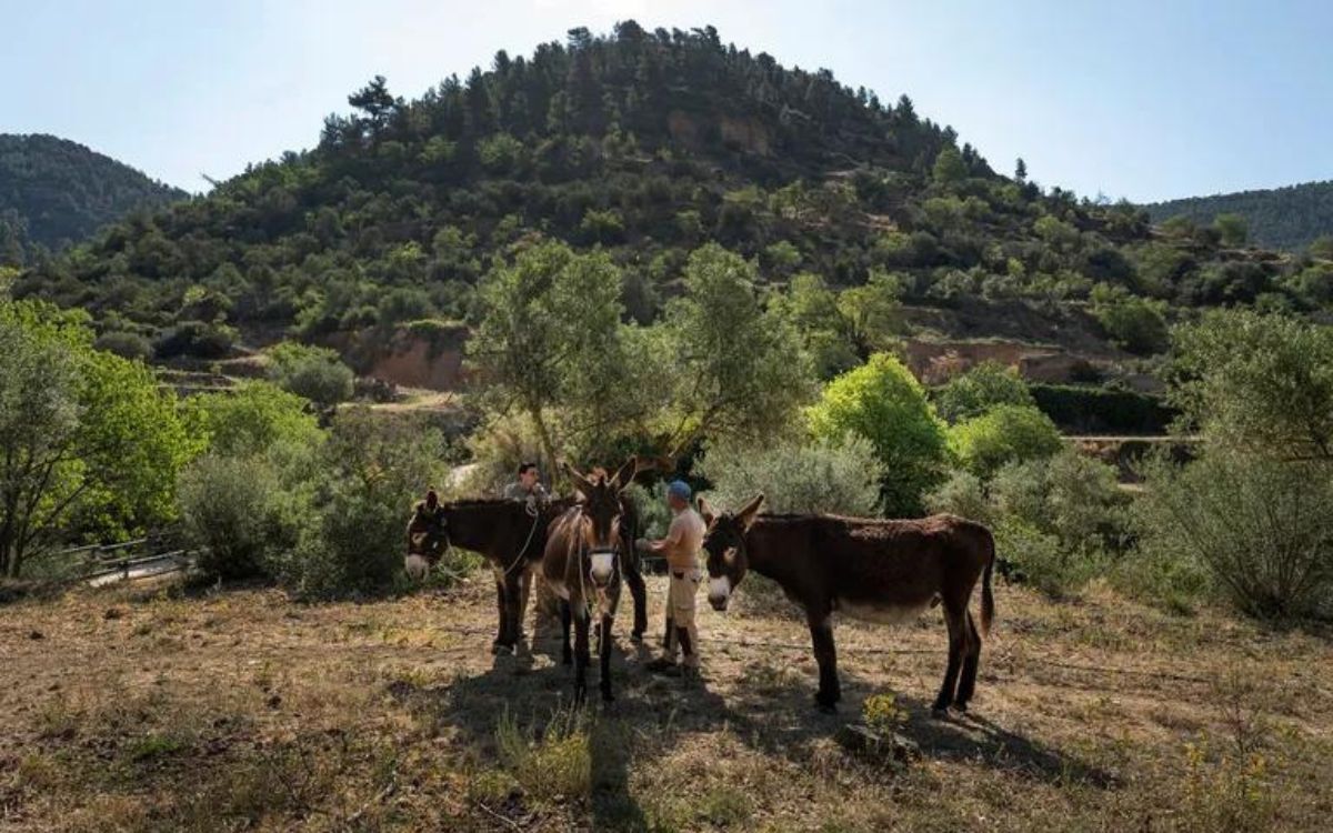 A la Serra del Montsant, hi ha diverses activitats que uneixen l'ecologia i el turisme