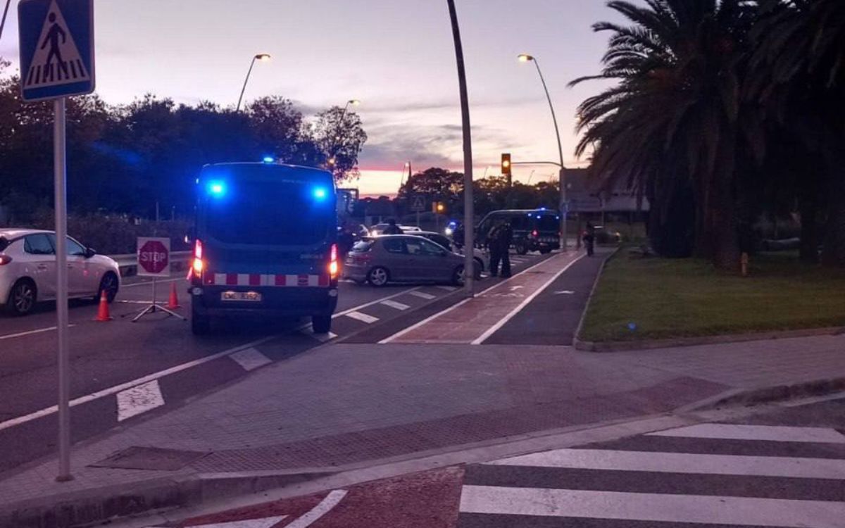 L'operatiu policial ha estat conjunt i s'ha efectuat a Mas Pellicer.