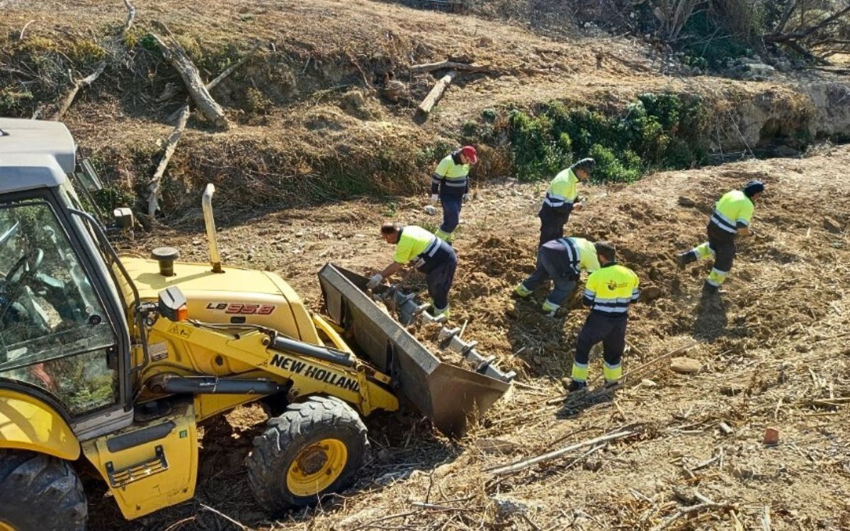 Tasques de recuperació del Bosc de Ribera al municipi dels Garidells, a l'Alt Camp