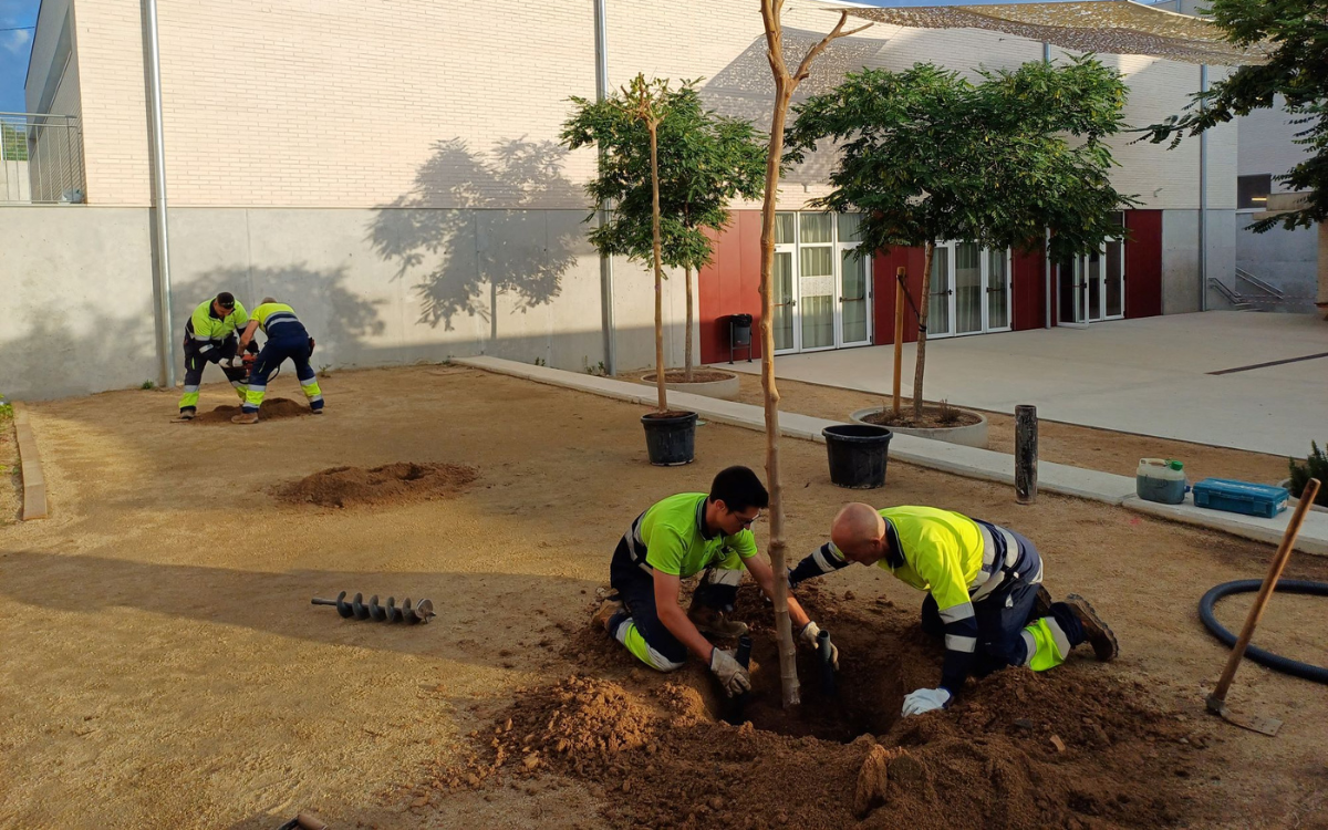 El nou contracte de manteniment i conservació de zones verdes es licitarà pròximament.