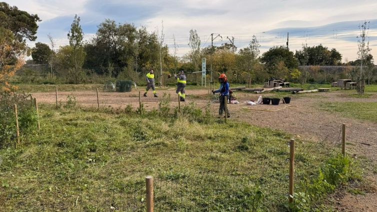 institut horticultura jardineria riera abeurada reus nacio (2)