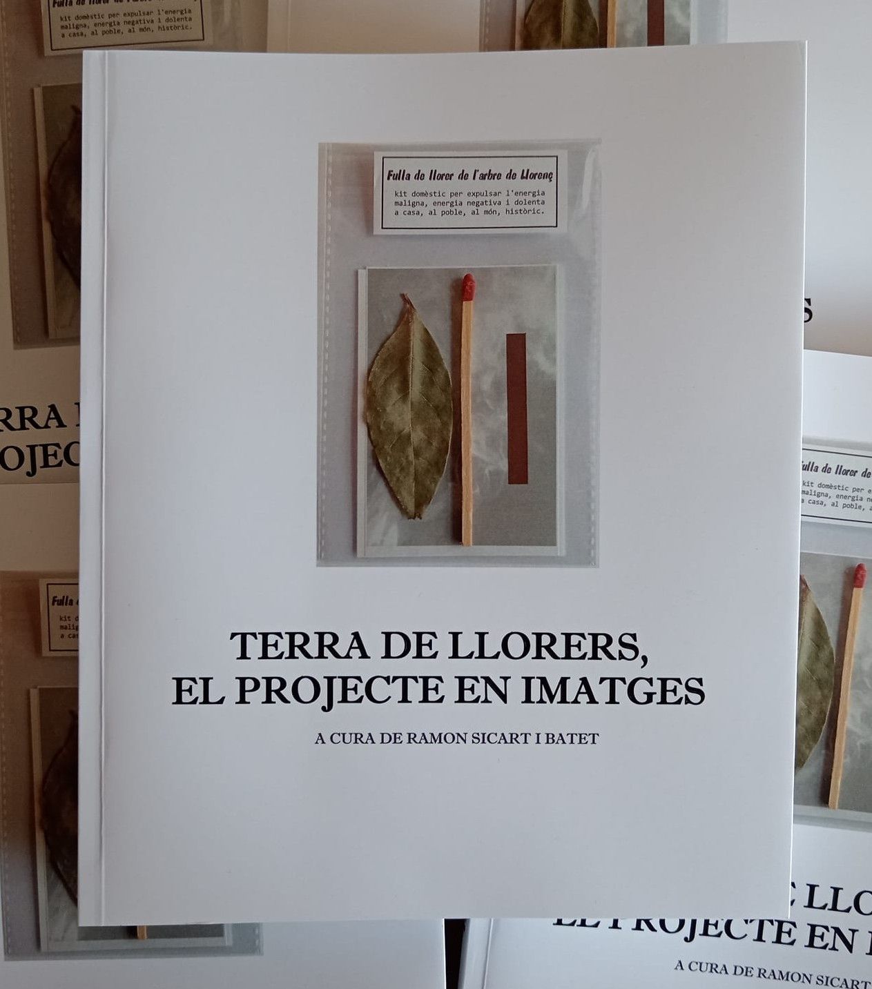 El llibre del projecte Terra de Llorers