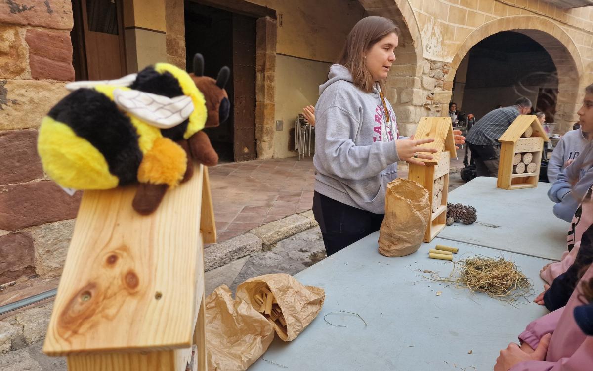 Uns 120 escolars es van reunir a Alcover