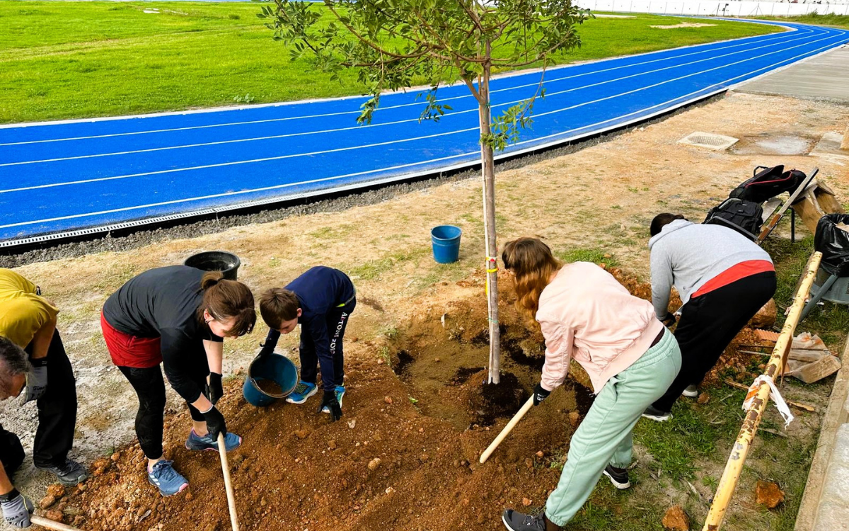 La Festa de l'Arbre ha permès plantar un centenar d'arbres i arbustos en diferents espais de Torredembarra.