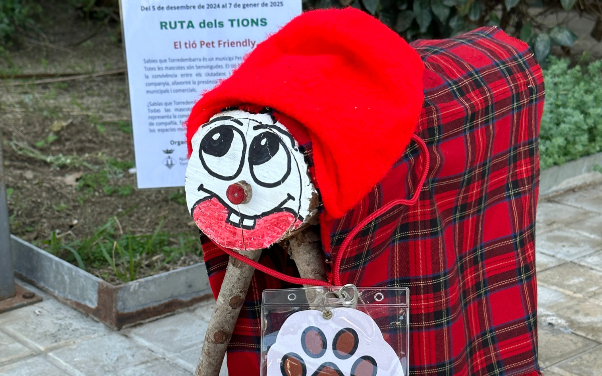 Imatge del tió Pet Friendly, robat de la seva ubicació a la Sala del Mar.