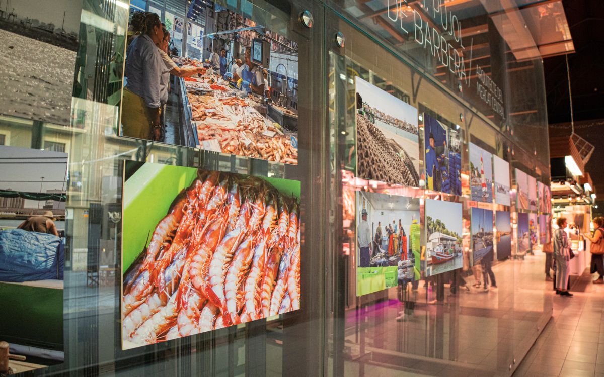 L'exposició al mercat de Tarragona es pot visitar en horari d'obertura del recinte.