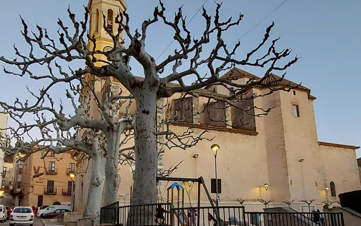 Imatge de la plaça dels Arbres de Vila-rodona