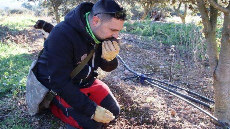 productors tofona tarragona acn nacio (3)