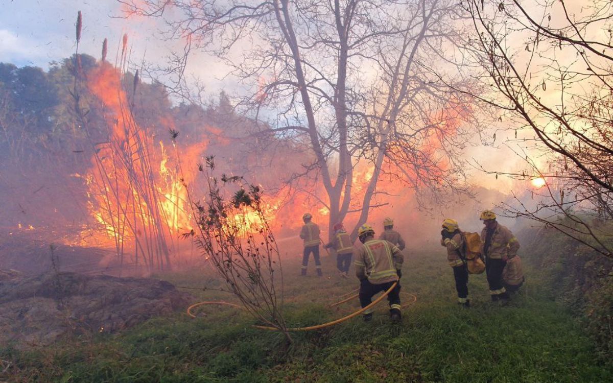 Les flames es van iniciar a primera hora del matí