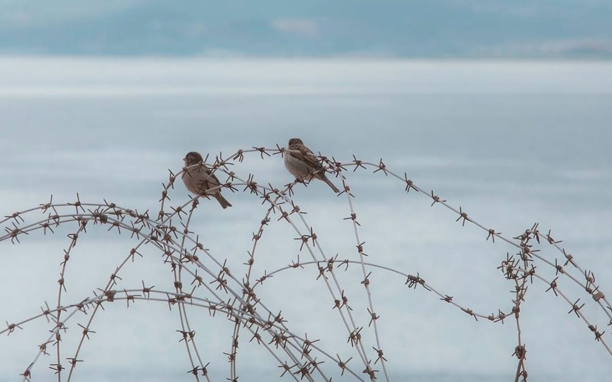 Una de les fotografies de l'últim treball de Grasas