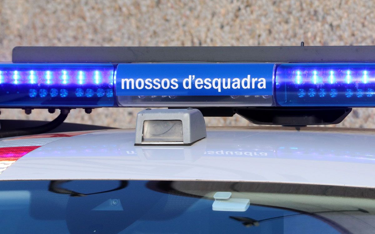 Els mossos van relacionar el jove lladre amb una desena de robatoris.