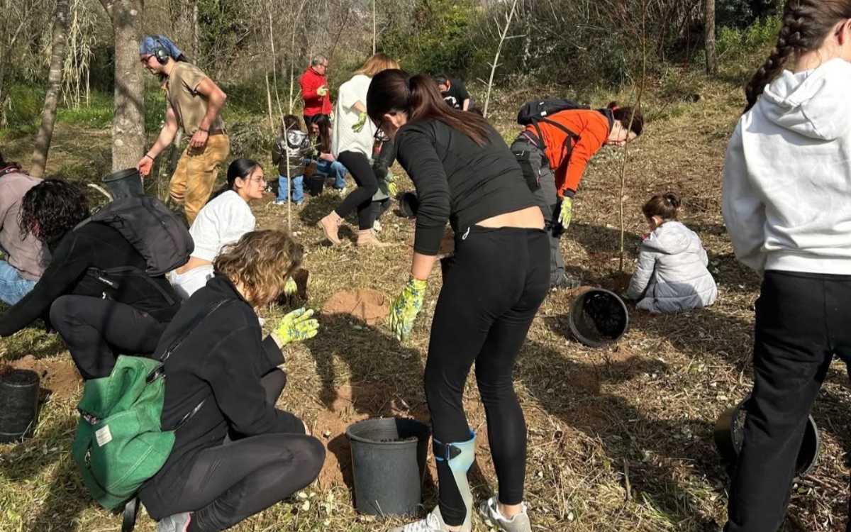 Imatge de la plantació al riu Glorieta