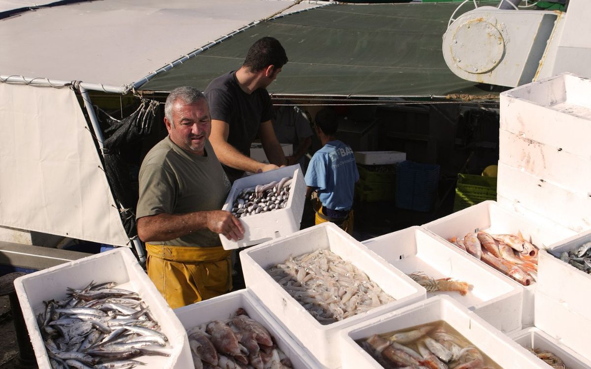 Imatge d'arxiu d'uns pescadors al Port de Cambrils